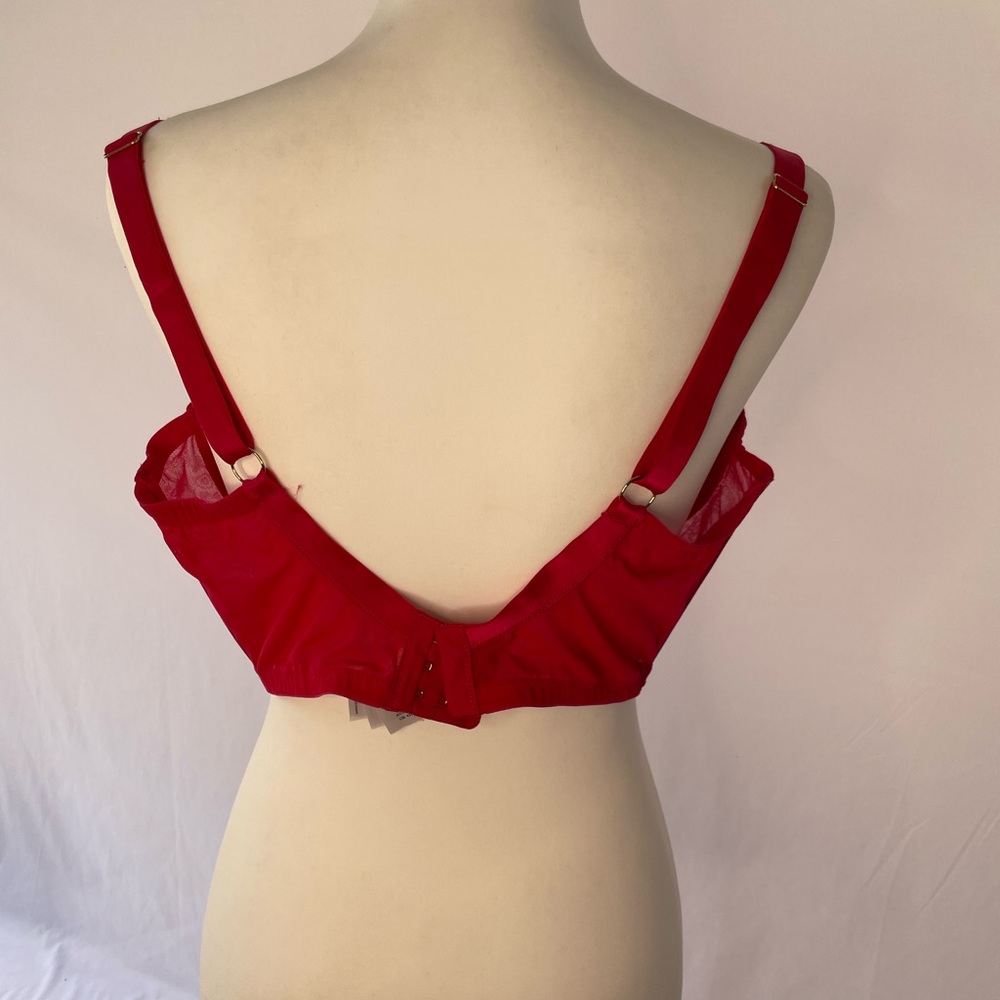 Gabi Fresh by Playful Promises Red Bra, 42I - Picture 2 of 6
